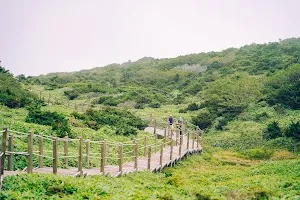 Weekend trip to Jeju (3 days) zecbbw