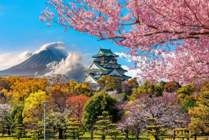 https://api-staging.holicay.com/uploads/medium_osaka3_63bd6bf848.webp